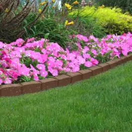 Ivičnjak za travnjak - MULTY HOME - Roman Stone (EU5000098)