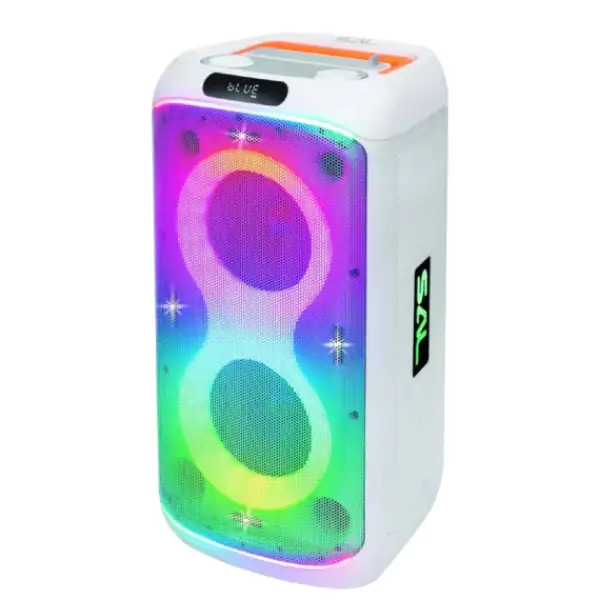 Prenosna zvučna kutija sa Bluetooth konekcijom 60W PAR216WH