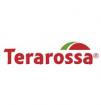 Terarossa