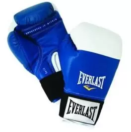 Rukavice za boks 10 Oz Everlast