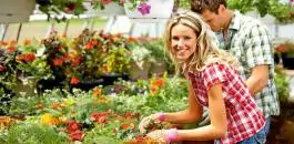 Organsko-neorgansko djubrivo Fertico Green 250 ml