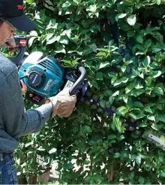 Benzinski trimer za živu ogradu EH6000W Makita