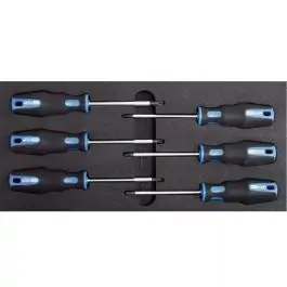 Set TORX šrafcigera T10-T40  6 kom. KS TOOLS