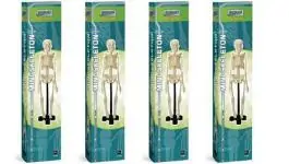 Model ljudskog skeleta sa postoljem E217 MEHANO