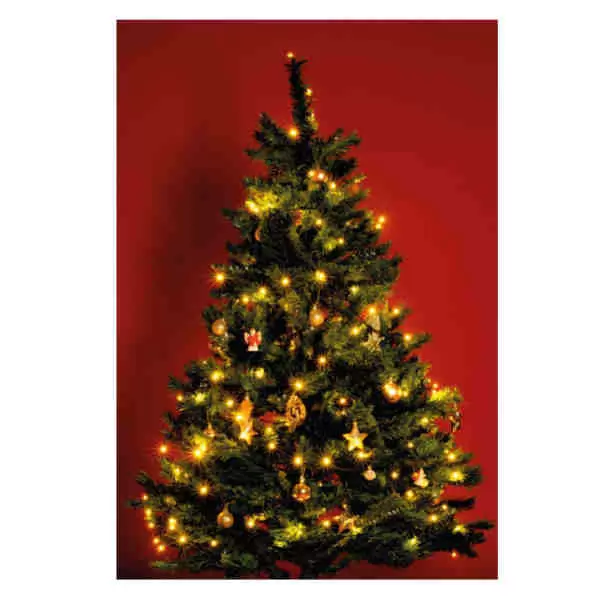 Novogodišnje lampice toplo bele sa 50 Led dioda 4m 