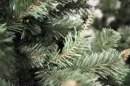 Novogodišnja jelka Aljaska 220 cm