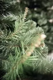 Novogodišnja jelka Aljaska 220 cm