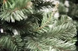 Novogodišnja jelka Aljaska 220 cm