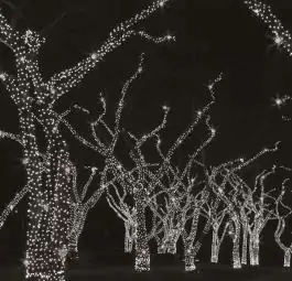 LED trepćući svetleći niz sa mogućnošću nadogradnje 5m + 5m 50 sijalica hladno bela