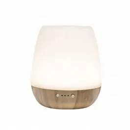 Stona ultrazvučna aroma lampa AD20 HOME