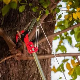 Makaze/testera za grane sa kanapom i drškom aluminijumskom TP 119 VILLAGER