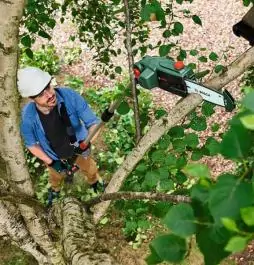 Akumulatorski teleskopski orezivač UniversalChainPole 18 Bosch