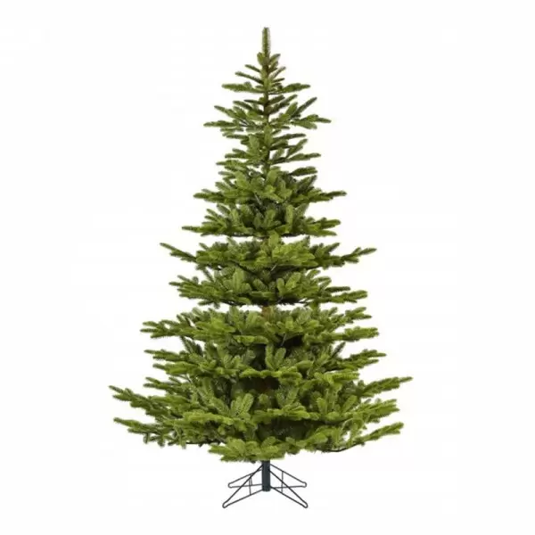 Novogodišnja jelka Koreana Spruce 180 cm