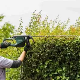 Električne makaze za živu ogradu AdvancedHedgecut 70 Bosch