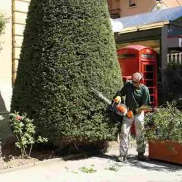 Makaze za živu ogradu motorne HC 247 P Oleo-Mac