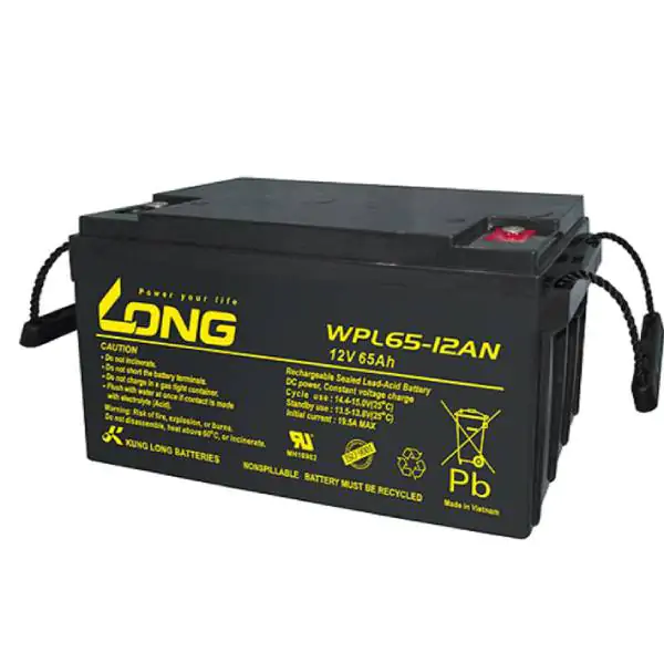 Baterija Long WPL 65-12AN 12V 65Ah