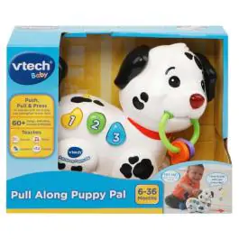 Vtech Interaktivni pas