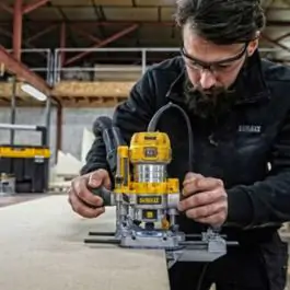 DeWalt glodalica 2 u 1 900W D26204K