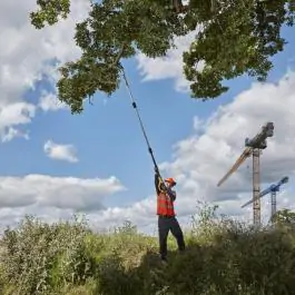 DeWalt DCMPS567N Akumulatorska teleskopska testera za rezanje grana, Solo