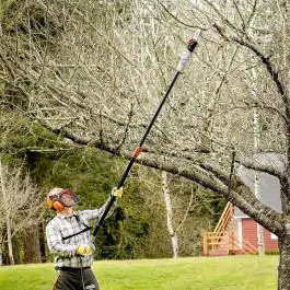 Oregon teleskopska električna testera za grane PS750