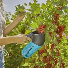 Gardena berač bobičastog voća