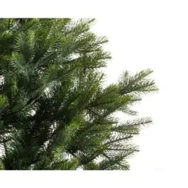 Novogodišnja jelka Arlberg fir 210cm-142cm Everlands