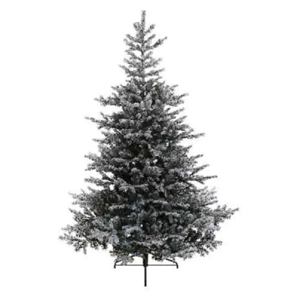 Novogodišnja jelka Grandis fir snowy 180cm-132cm Everlands