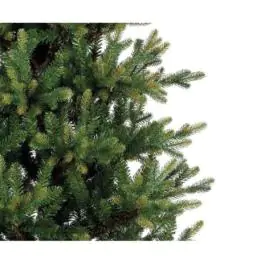 Novogodišnja jelka Queensland slim fir 210cm-90cm Everlands