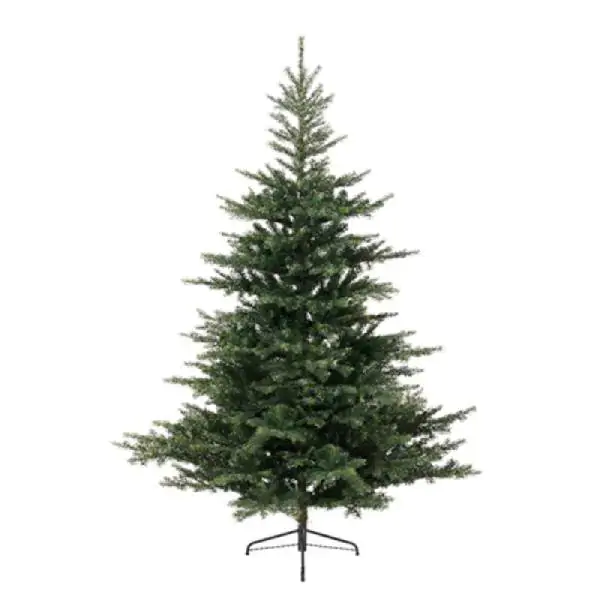 Novogodišnja jelka Grandis fir 120cm-91cm Everlands