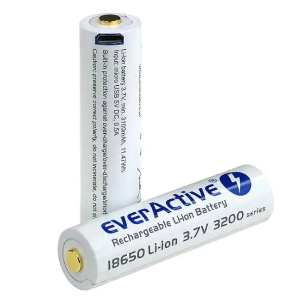 Industrijska punjiva baterija 3200 mAh EverActive