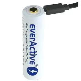 Industrijska punjiva baterija 3200 mAh EverActive