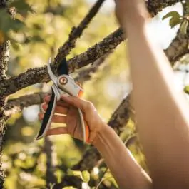 Makaze za orezivanje voćarske 1057168 Fiskars