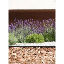 Graničnik za travnjak Garden Border 0645 45mm x 4.8m Strend Pro