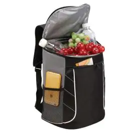 Ranac za hladjenje 20l