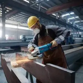 Bosch GWS 27-230 JR Ugaona brusilica sa rotirajućom drškom 230mm 2700W 06018C7320