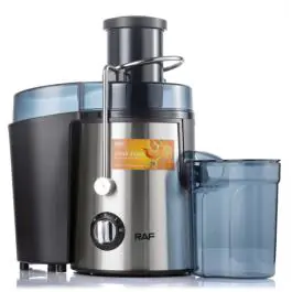 RAF R.2817S sokovnik silver 1000W