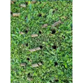 Strend Pro Garden cevasti ručni aerator za travnjak 4 zupca 30 x 102 cm