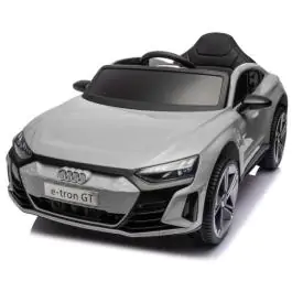 Auto E tron 12V FY-MB717 SIVA