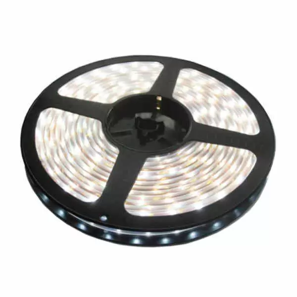 LED traka bela 120 LED / 1m LTR3528/120W-12H