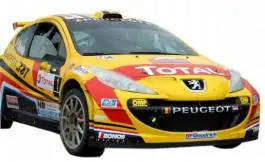 Auto na daljinski Peugeot 207 IRC Nikko