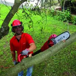 Električna teleskopska testera GC-EC 750T Einhell